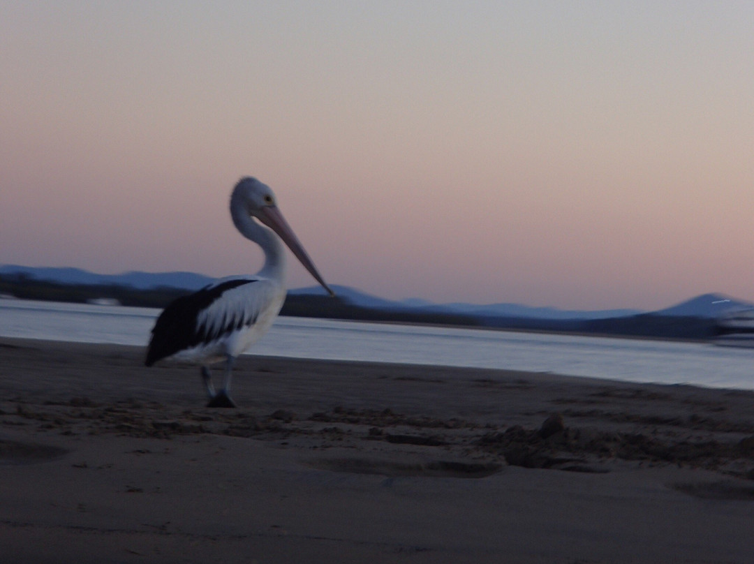 1770 Liquid Adventures-1770镇必去景点