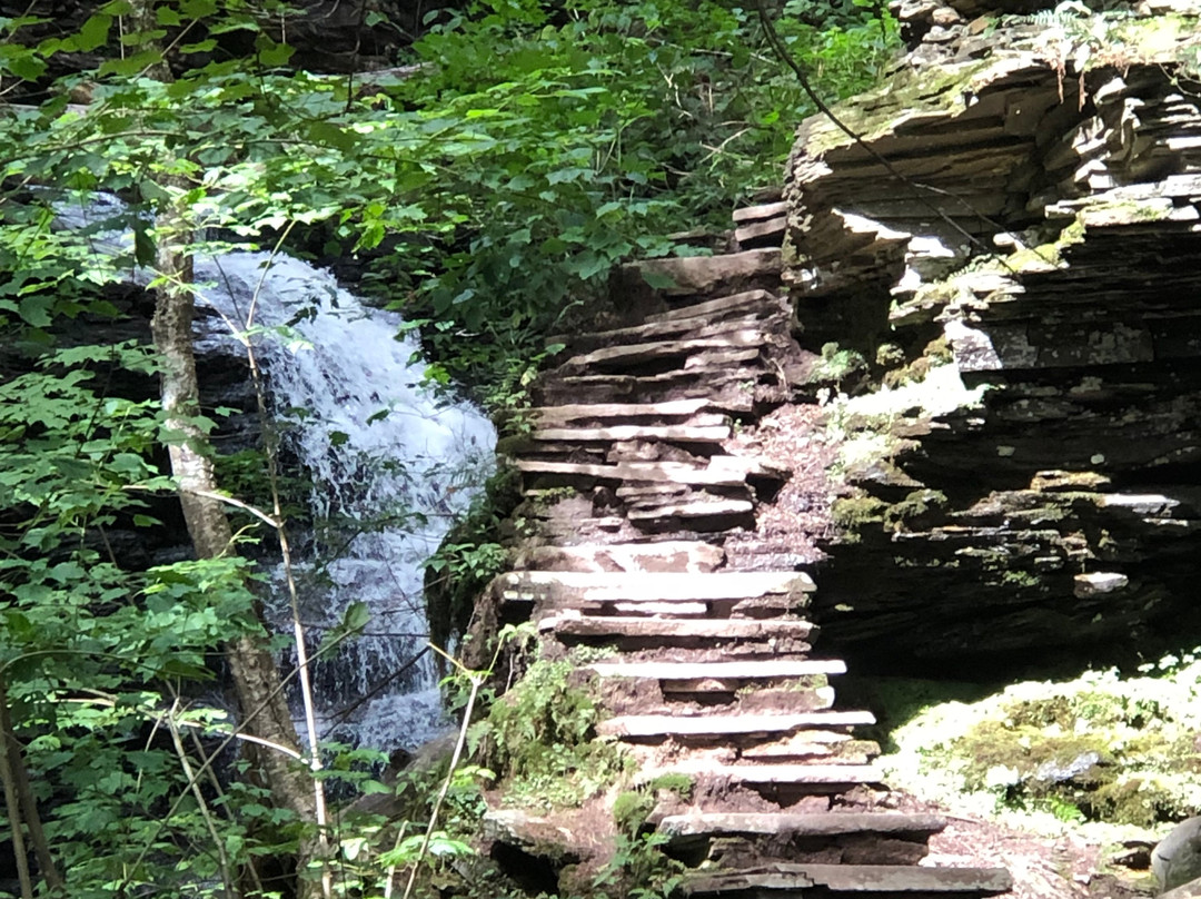 Ricketts Glen State Park景点图片