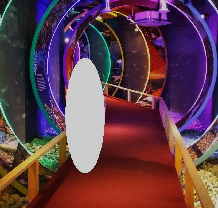 Wine Tunnel-永同郡必去景点