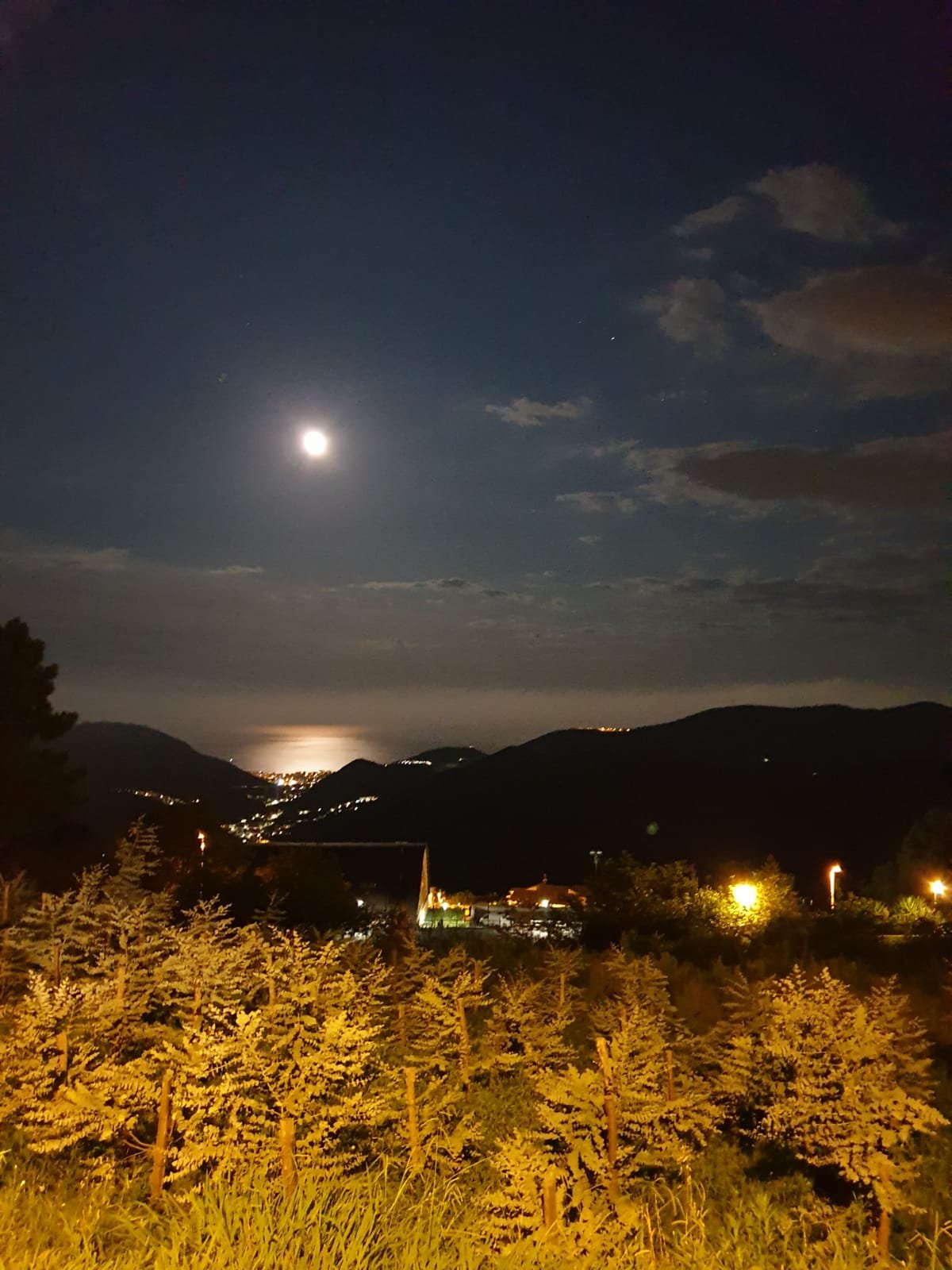 L'Agrifoglio-酒店景观