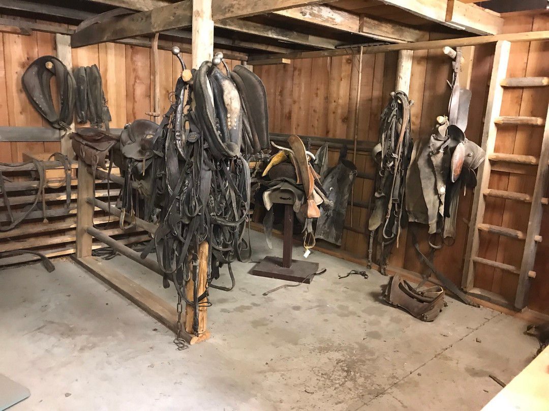 Range Riders Museum-迈尔斯城必去景点