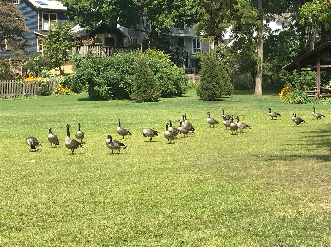 Chagrin Waterfalls-Chagrin Falls必去景点