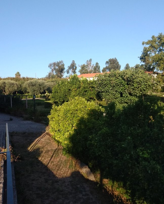 Quinta d'Arroteia主图