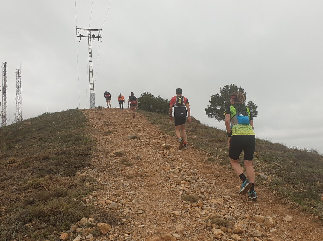 Carrera El Valle Trail
