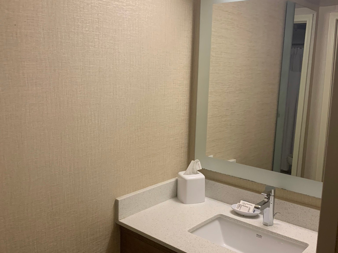 SpringHill Suites by Marriott Newnan主图