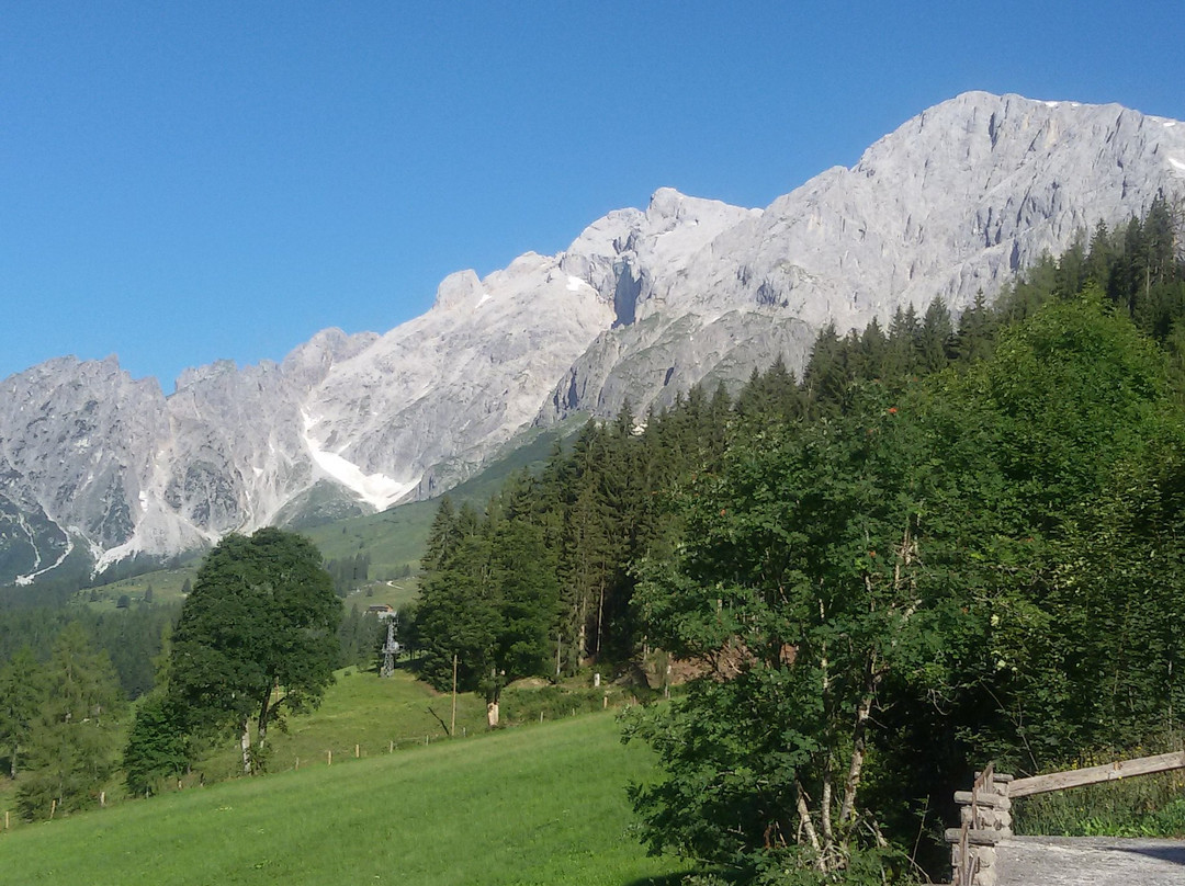 Muehlbach im Pinzgau酒店住宿-Hotel Sonnhof Am Hochkönig