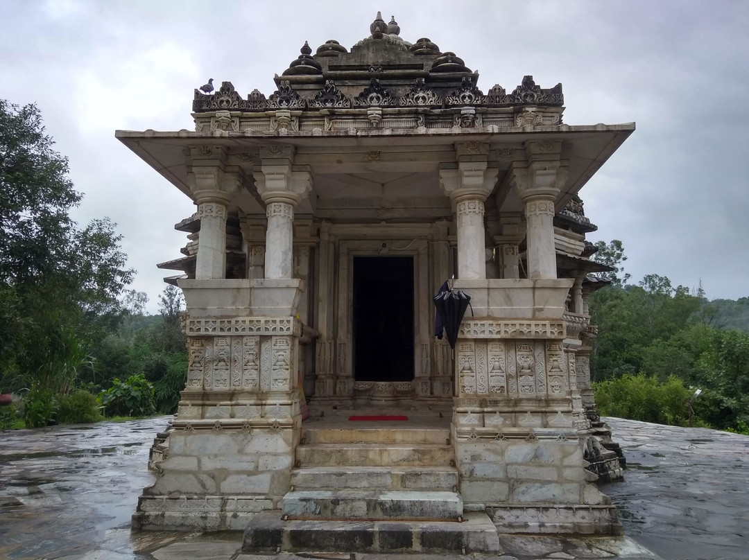 Surya Narayan Temple景点图片