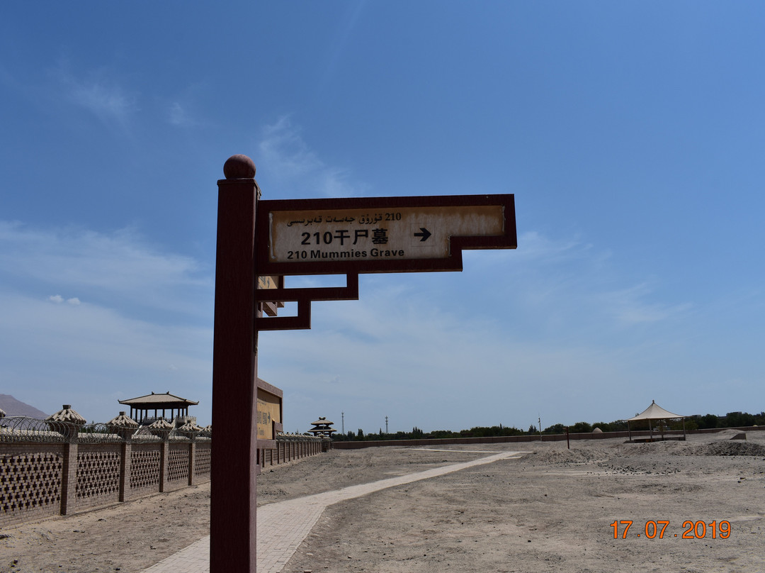 阿斯塔那-哈拉和卓古墓景点图片