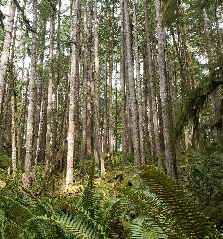 Skookumchuck Narrows Provincial Park-Egmont必去景点