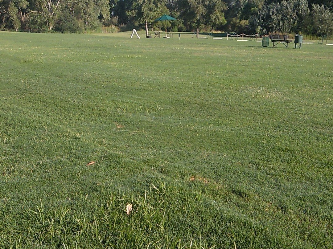 Teal Bend Golf Club-沙加缅度必去景点