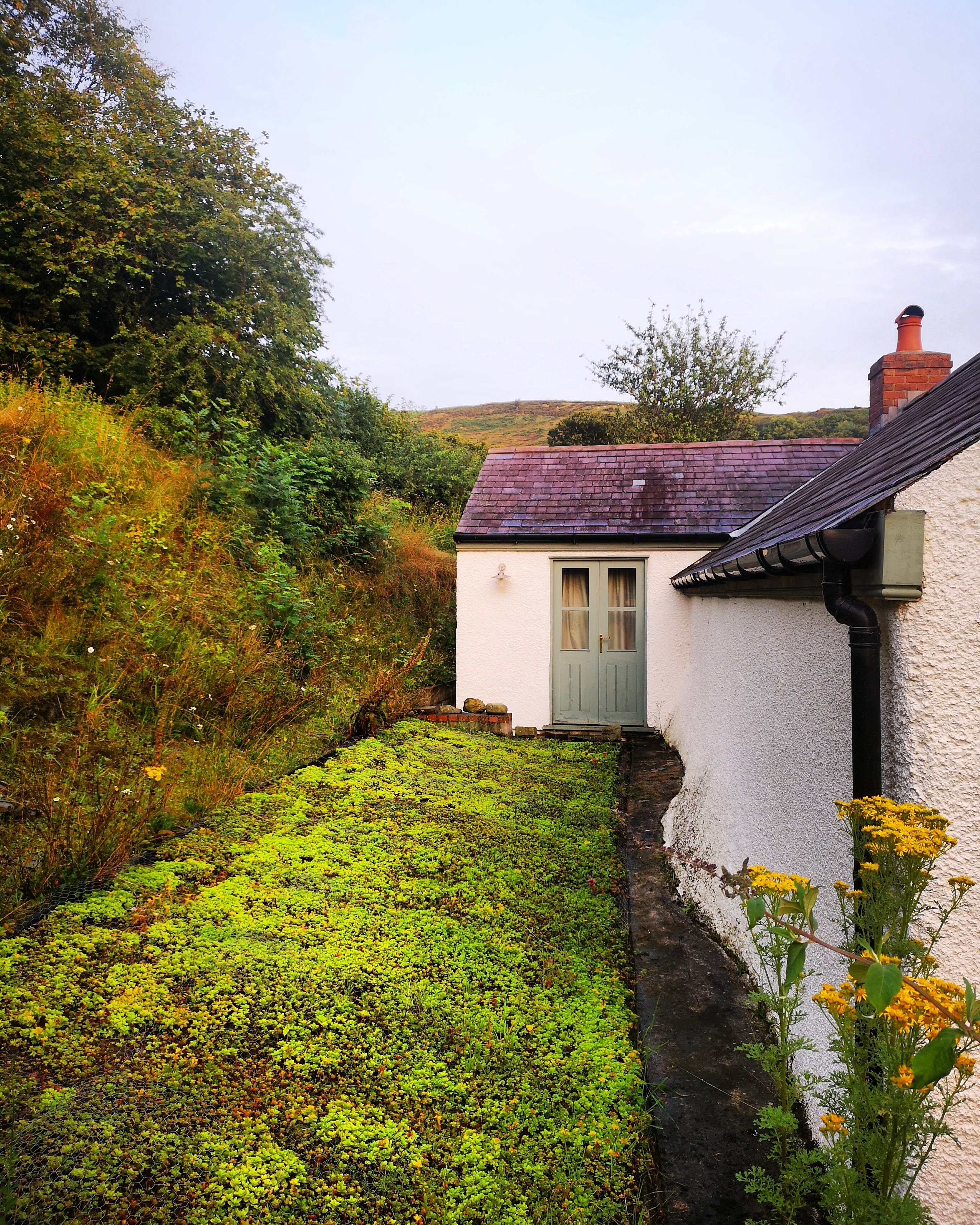 Ty Newydd-Y-Llwyn-官方