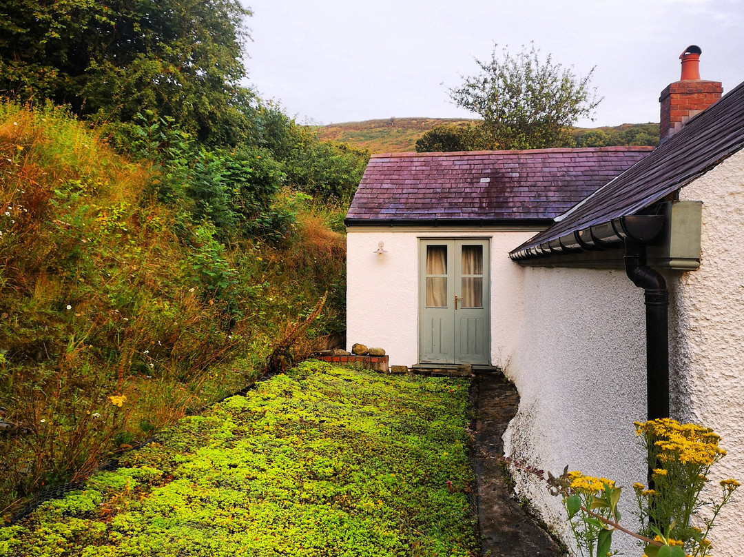 Ty Newydd-Y-Llwyn主图