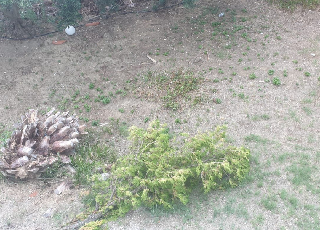 Bianco Olympico Beach Resort主图