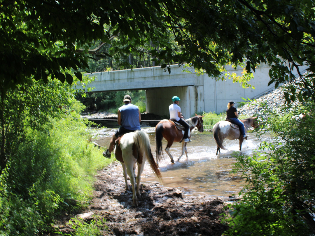 Mountain Creek Riding Stable景点图片