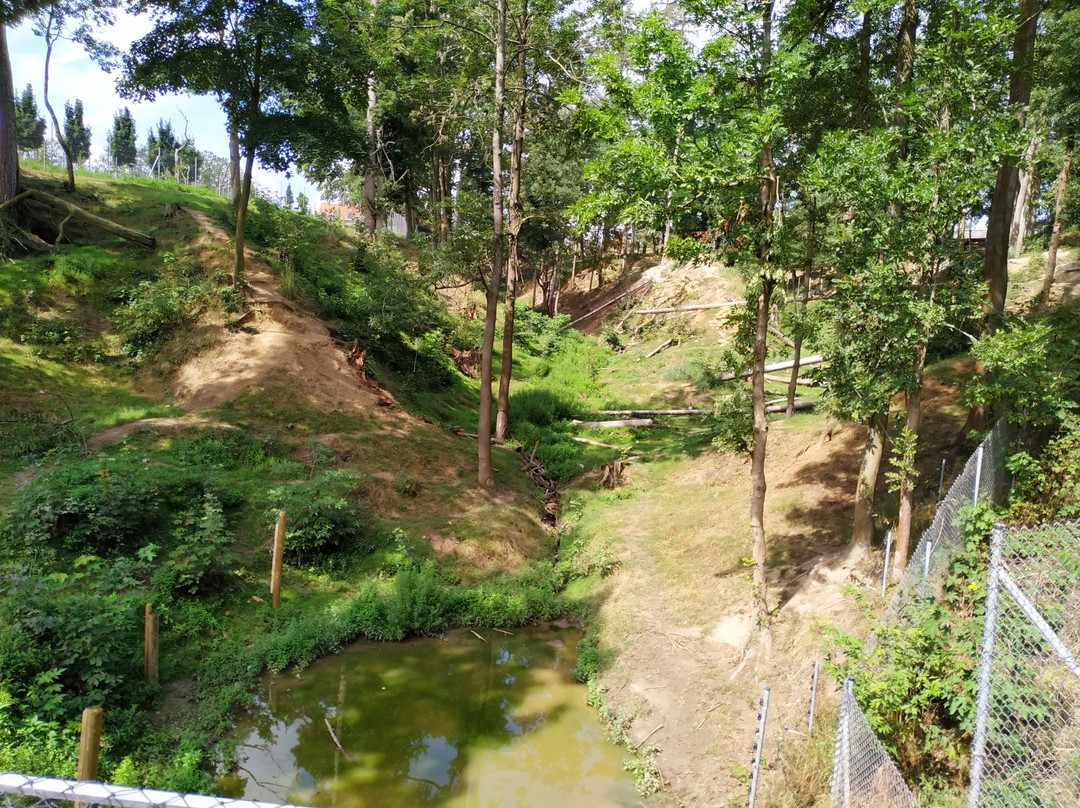 ZOO Tabor-塔博尔必去景点