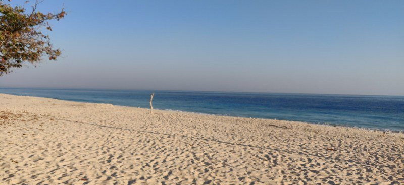 Mario Hotel & Cafe主图