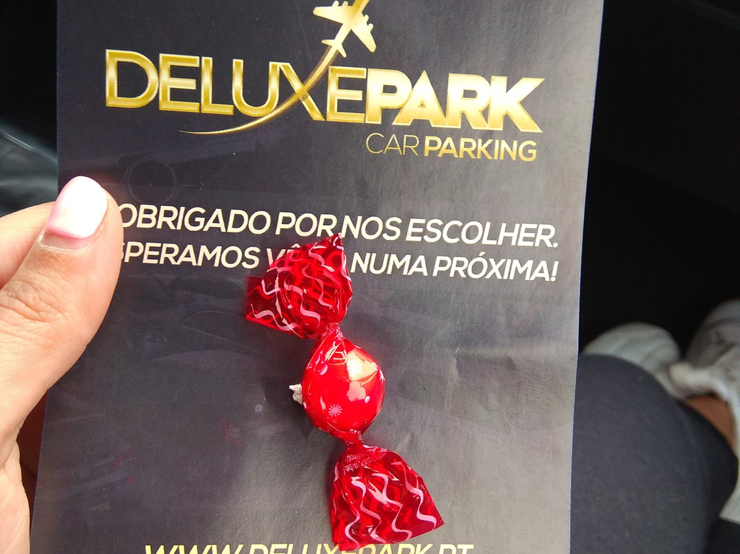 Deluxe Park-波尔图必去景点