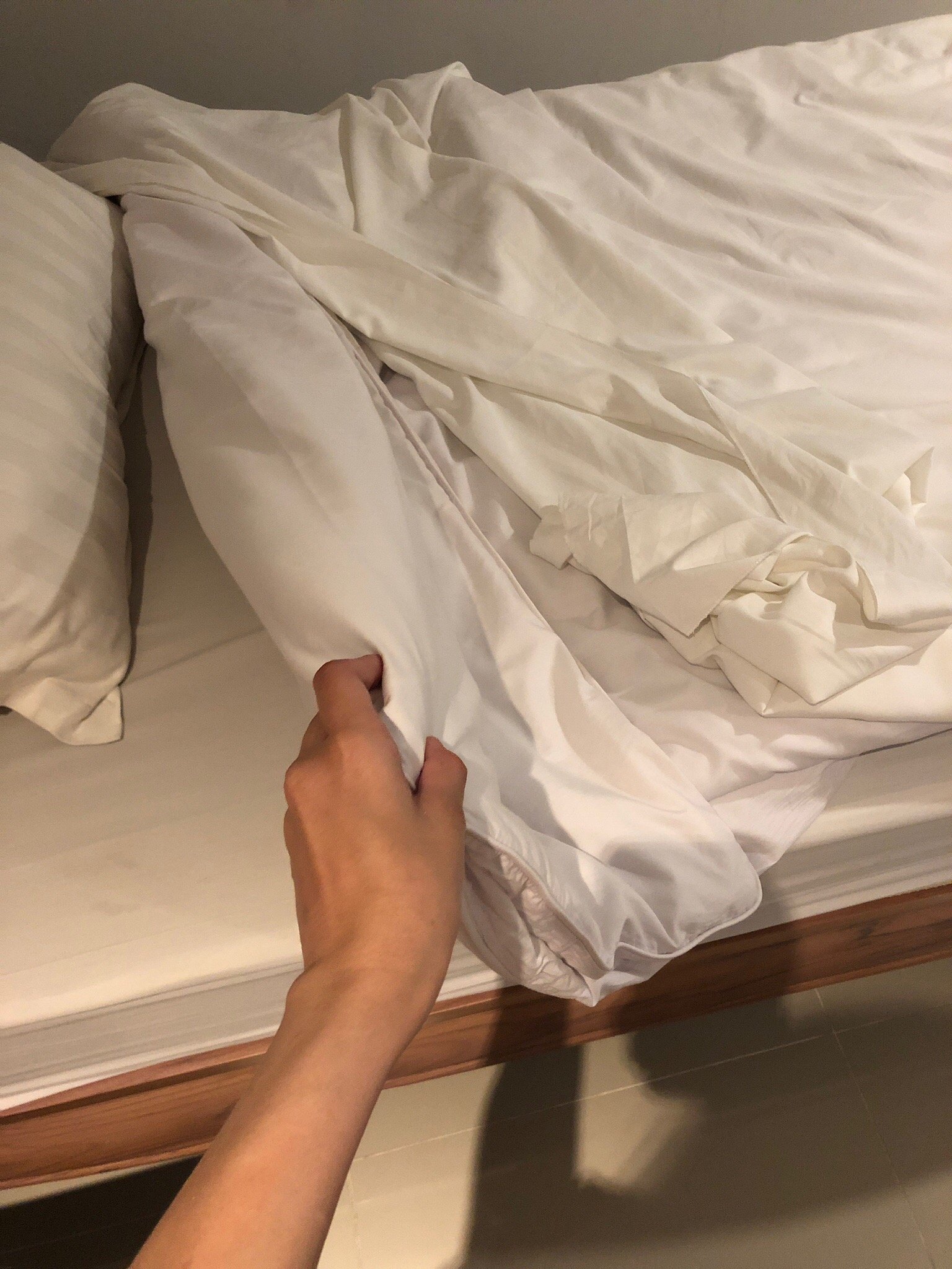 A Boutique Hotel-官方