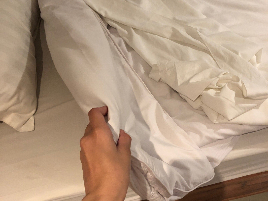 A Boutique Hotel主图