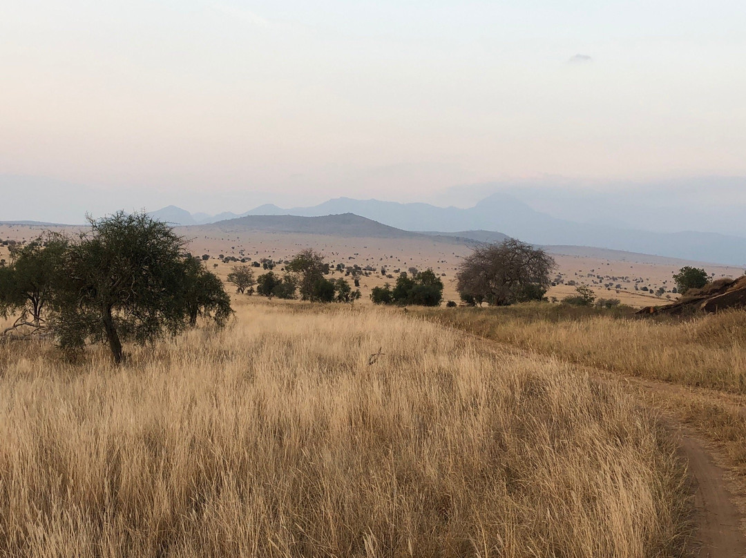 Roaring Rocks-西察沃国家公园必去景点