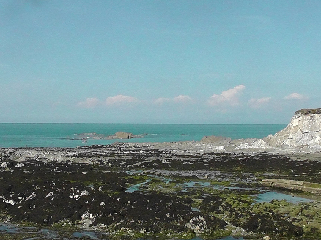 Lee Bay Beach-伊尔弗勒科姆必去景点