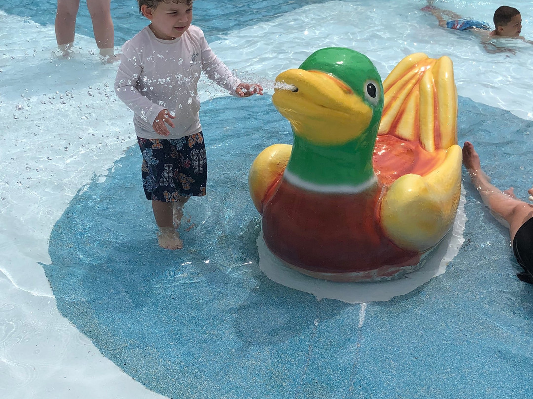 Crystal Springs Family Waterpark-东布伦瑞克必去景点