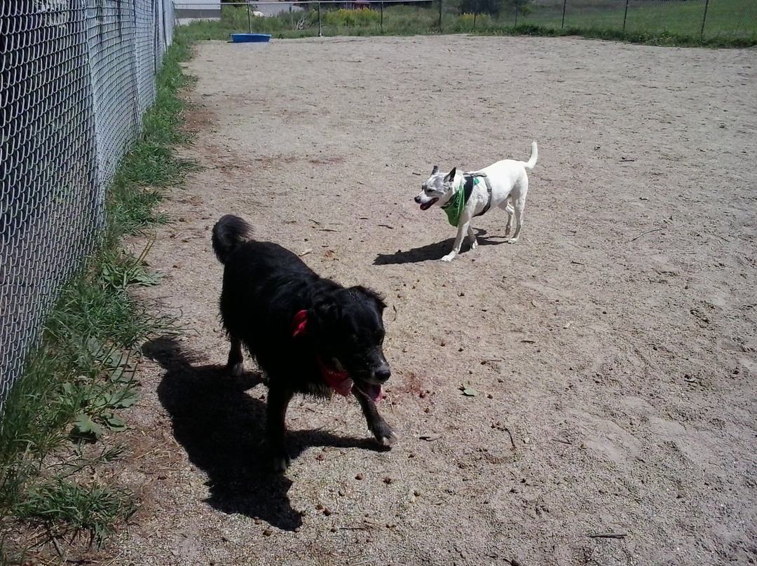 Kennebunk Dog Park景点图片