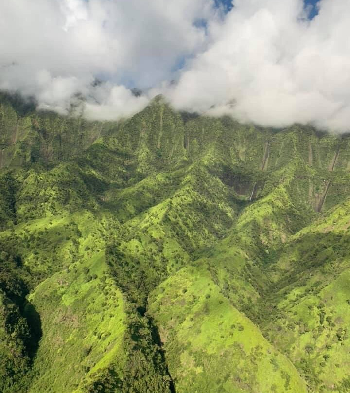 Blue Hawaiian Helicopters - Kauai景点图片