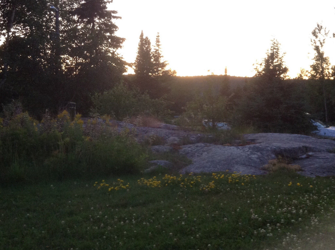 The Coach House Motel主图