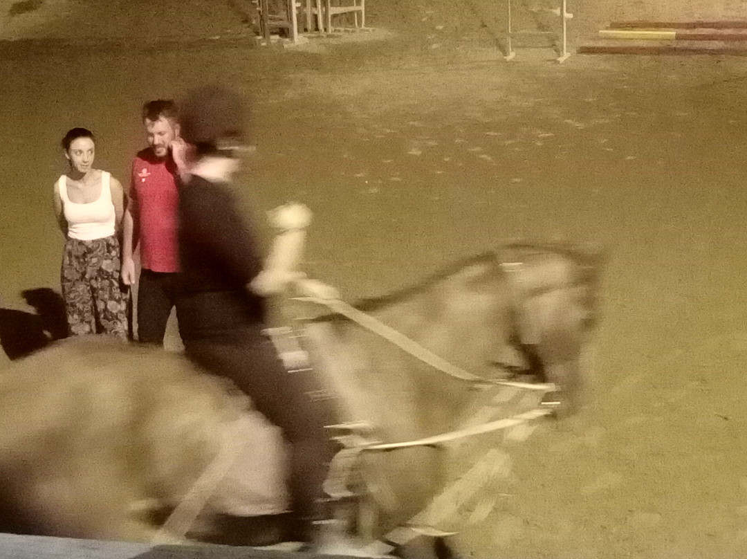 Ipposchesi-Finikia必去景点