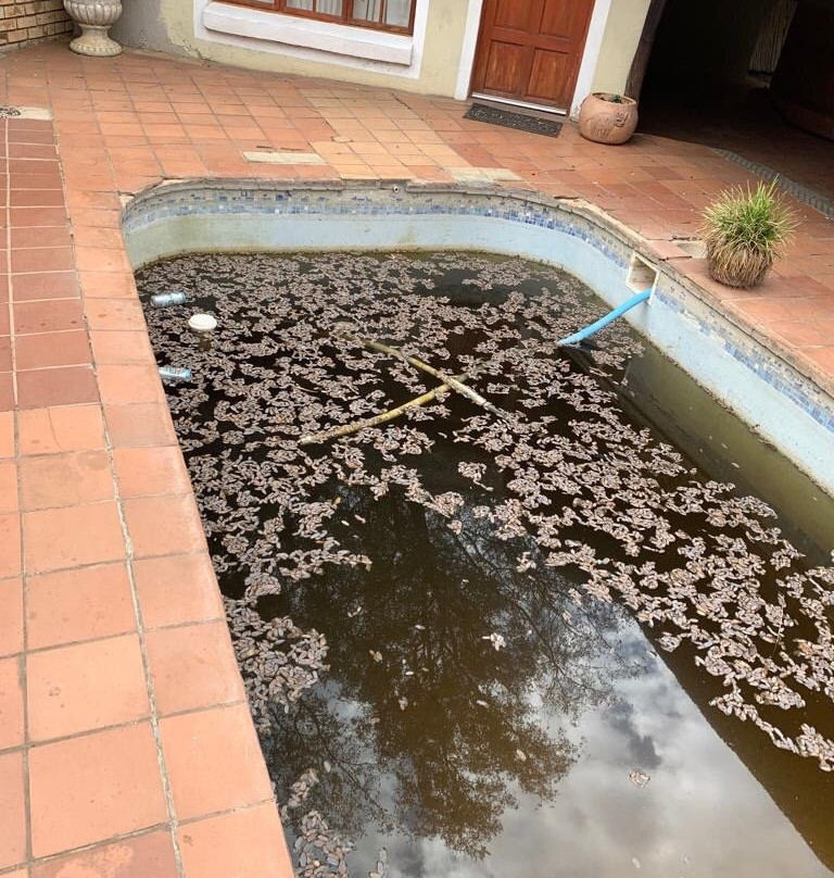 Ferns Country House主图