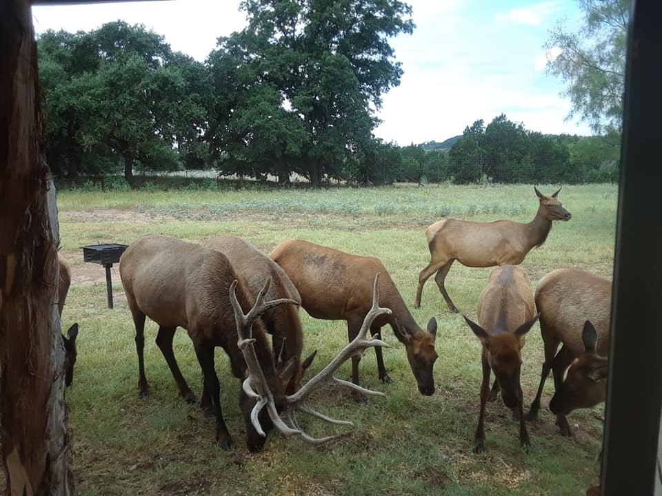 Country Inn Cottages主图