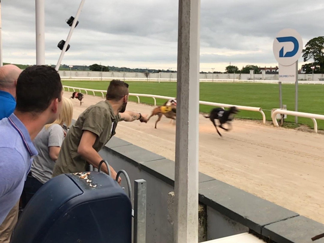 Drumbo Park Dog Racetrack景点图片