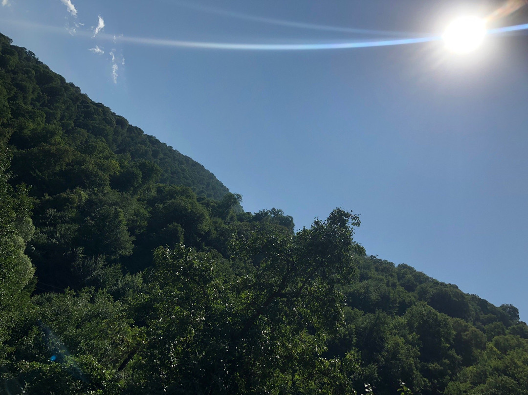 Ariana Family Hotel主图