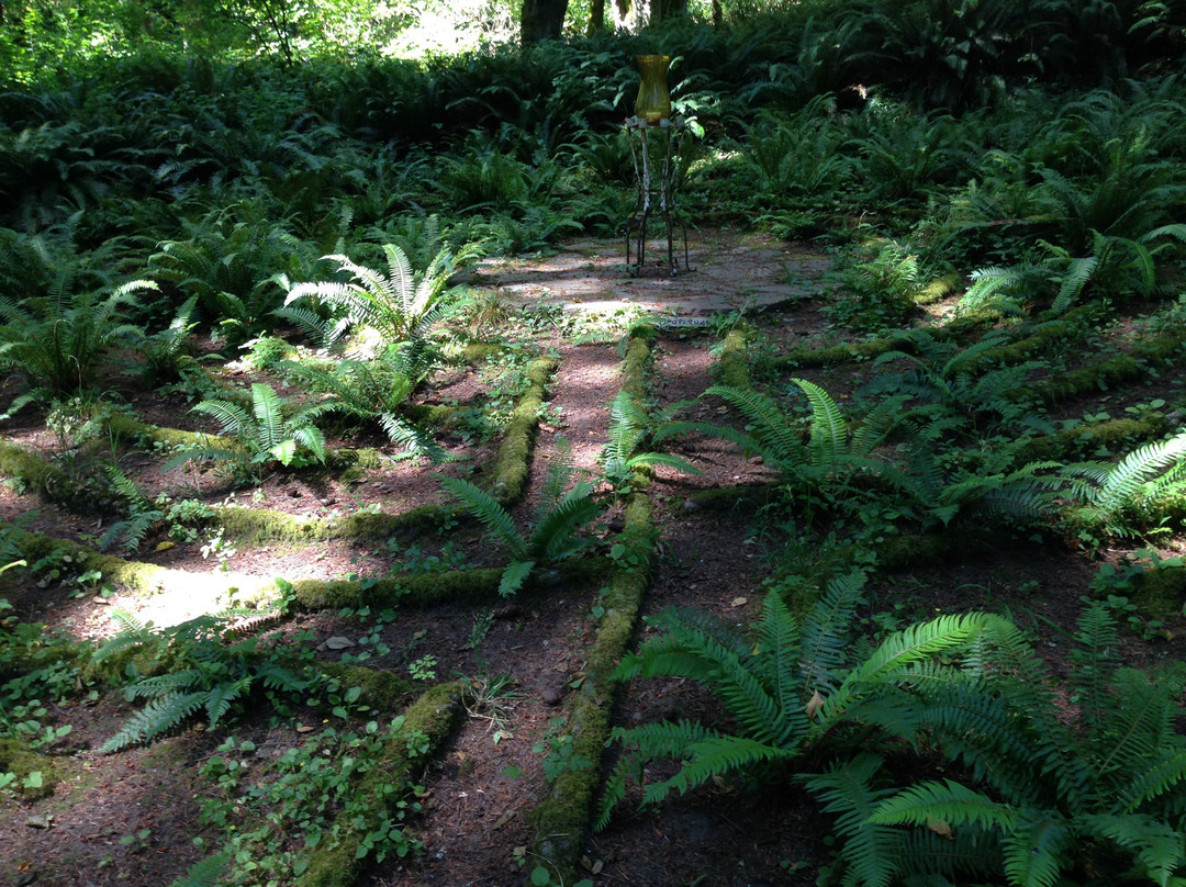 No Cabbages Bed & Breakfast主图