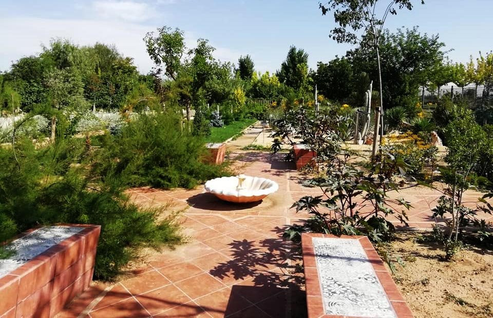 Jardin Botanico de Castilla-La Mancha景点图片