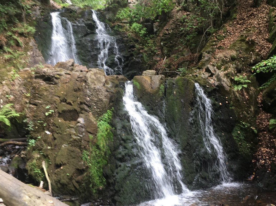 Forsakar Nature Reserve-Degeberga必去景点