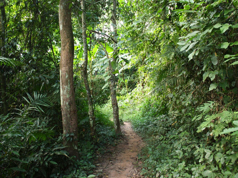 Herb Walk Laos-琅勃拉邦必去景点
