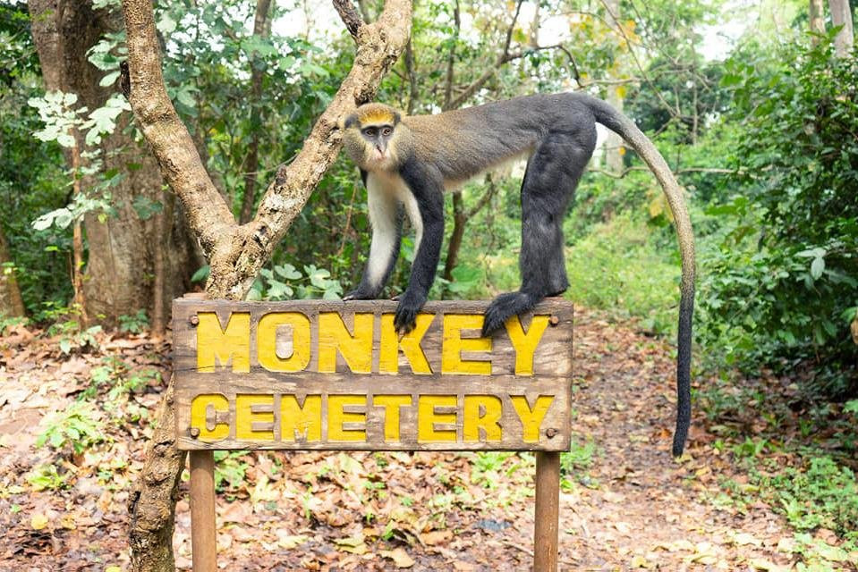 Skyway Safari & Tours Ghana-阿克拉必去景点
