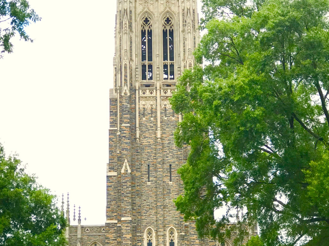 杜克大学教堂景点图片