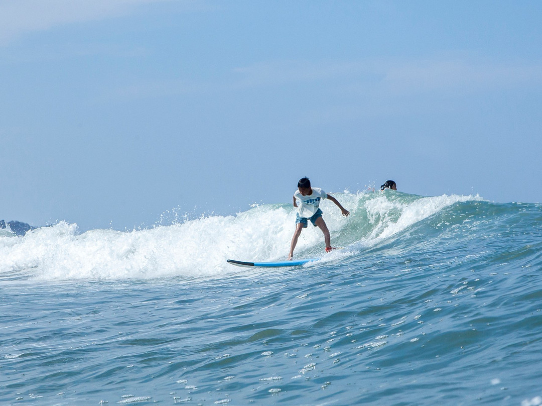 Coconut Harrys Surf Shop and Surf School景点图片