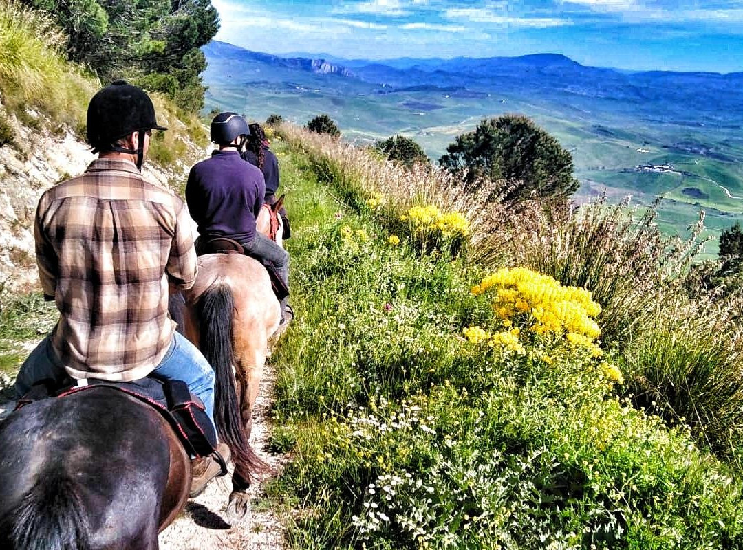 Horse Trekking Sicily景点图片