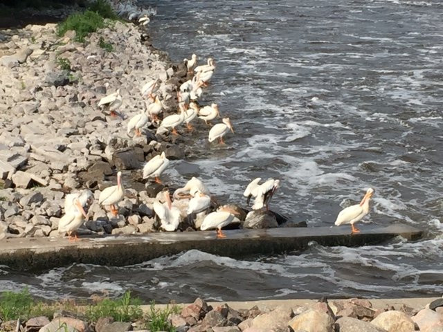 Sorlien Park-Granite Falls必去景点
