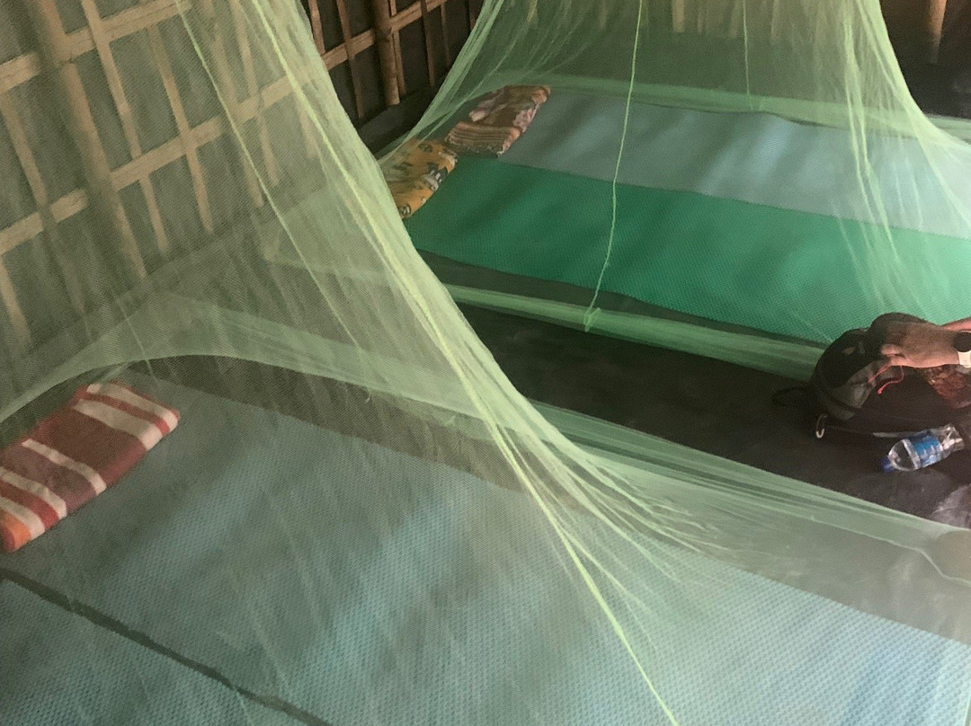 Jungle Edie-武吉拉旺必去景点