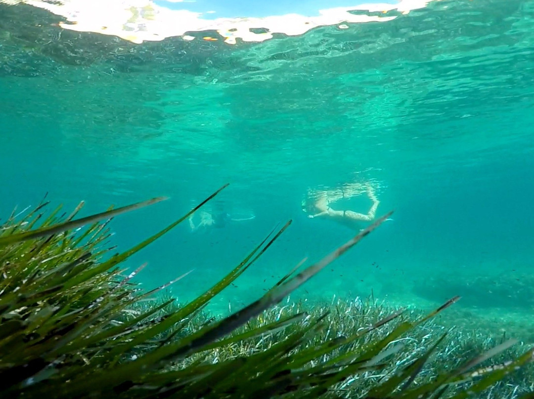 Malta Stand Up Paddling Sea Treks景点图片