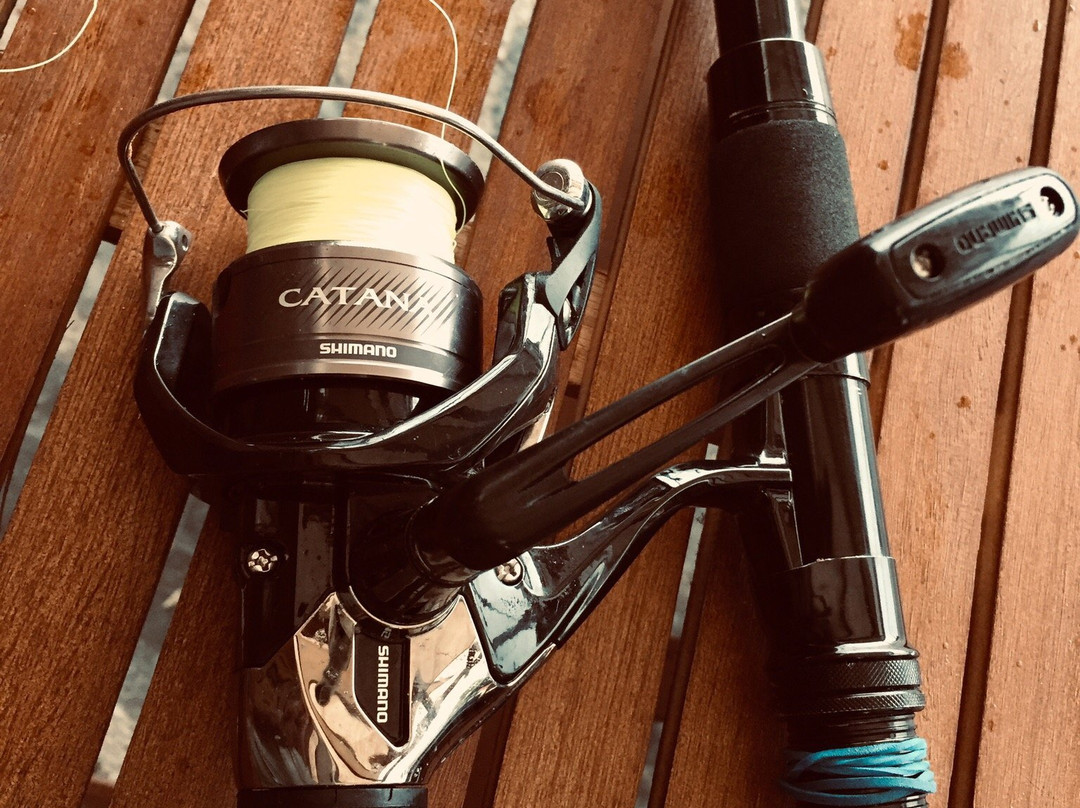 Boat & Cruise Hiring-Chorefto必去景点