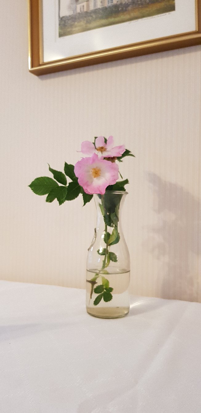 Mellanfjärdens Pensionat & Spa-官方