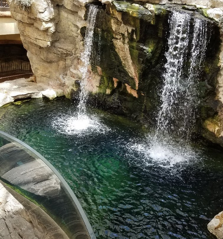 Bass Pro Shop-Clarksville必去景点