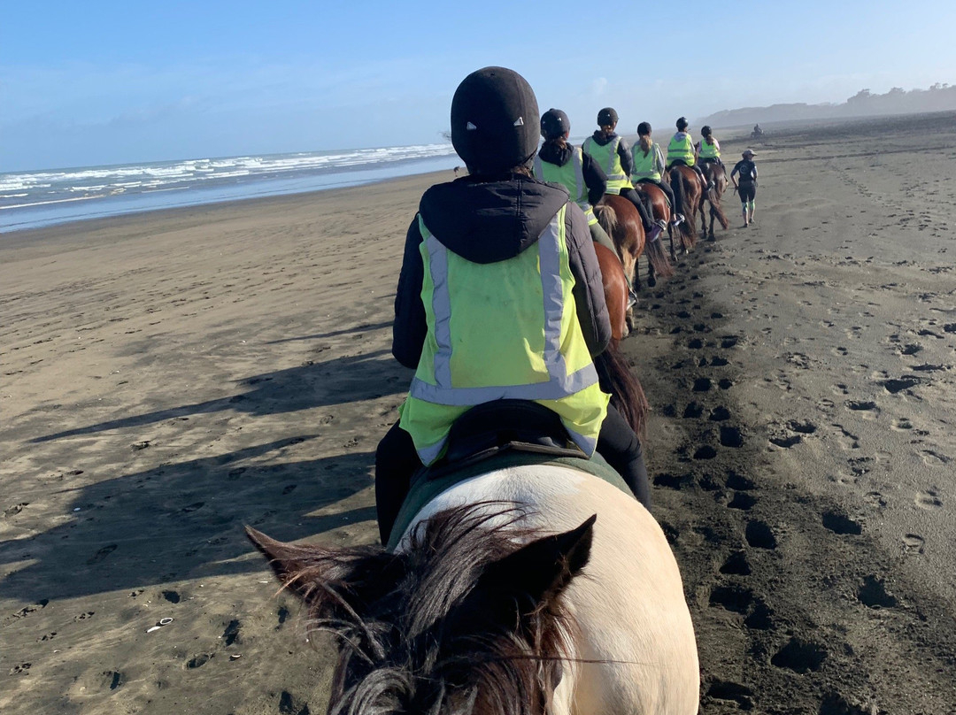 Muriwai Beach Horse Treks景点图片