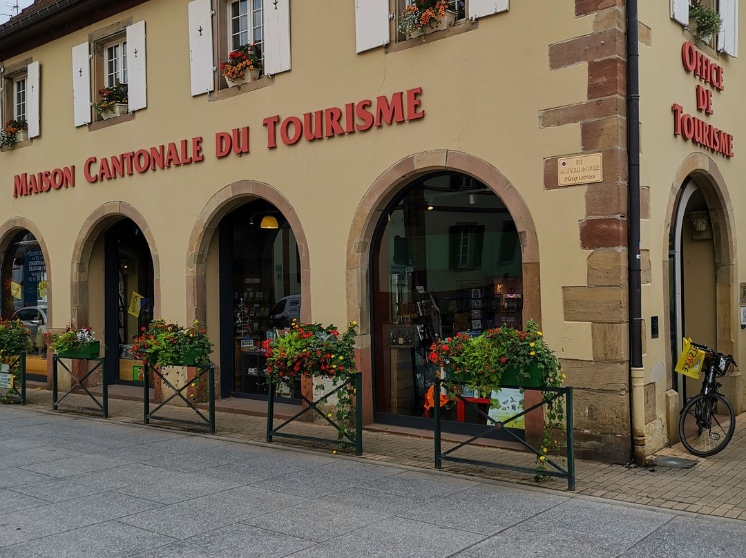 Office de Tourisme Intercommunal  du Mont Sainte-Odile景点图片